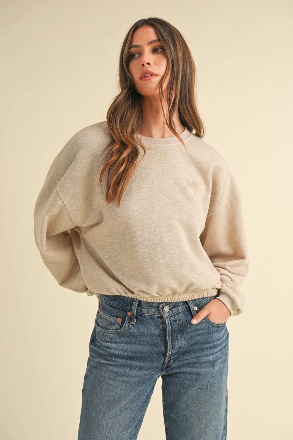 Round Neck Letter Embroidery Crop Sweatshirt