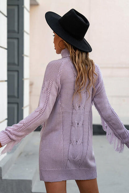 Turtleneck Fringe Detail Sweater Dress