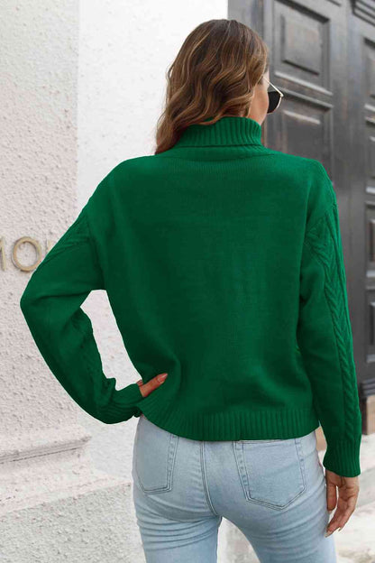 Turtleneck Long Sleeve Sweater