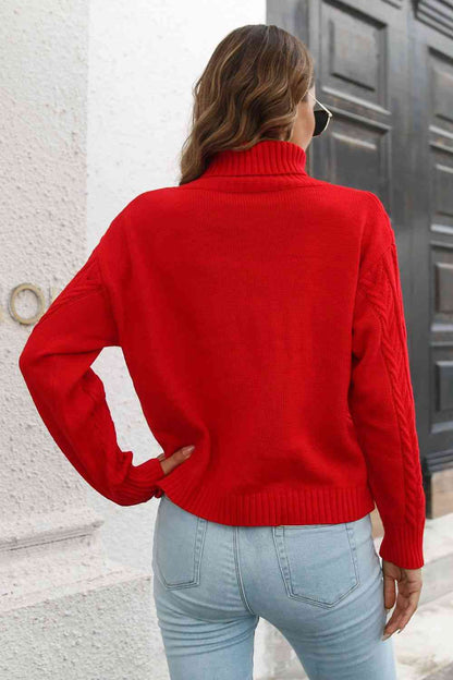 Turtleneck Long Sleeve Sweater